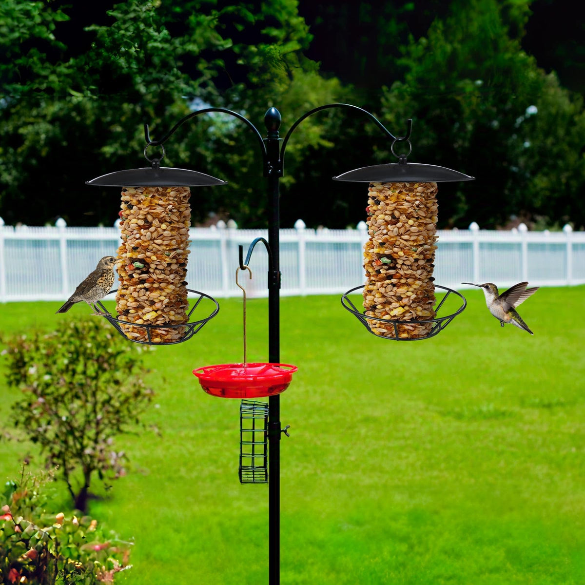 Ziliny wide-capacity feeder holds multiple seed cakes for continuous bird activity