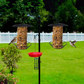 Ziliny wide-capacity feeder holds multiple seed cakes for continuous bird activity