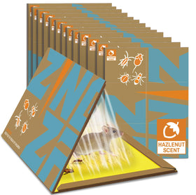 ZingZap sticky glue boards 10-pack laid out for rapid indoor rodent control