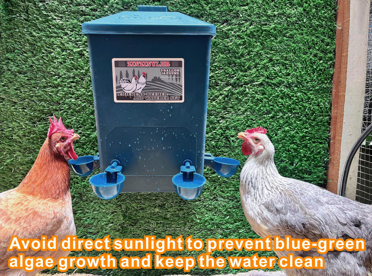Gravity-fed design of ZINZINULER waterer ensures steady water supply.