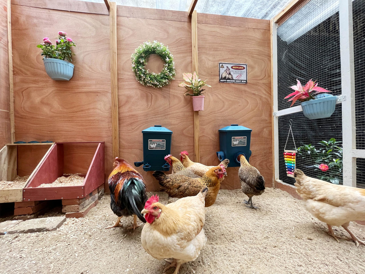 ZINZINULER indoor outdoor use demonstrates versatile installation options.