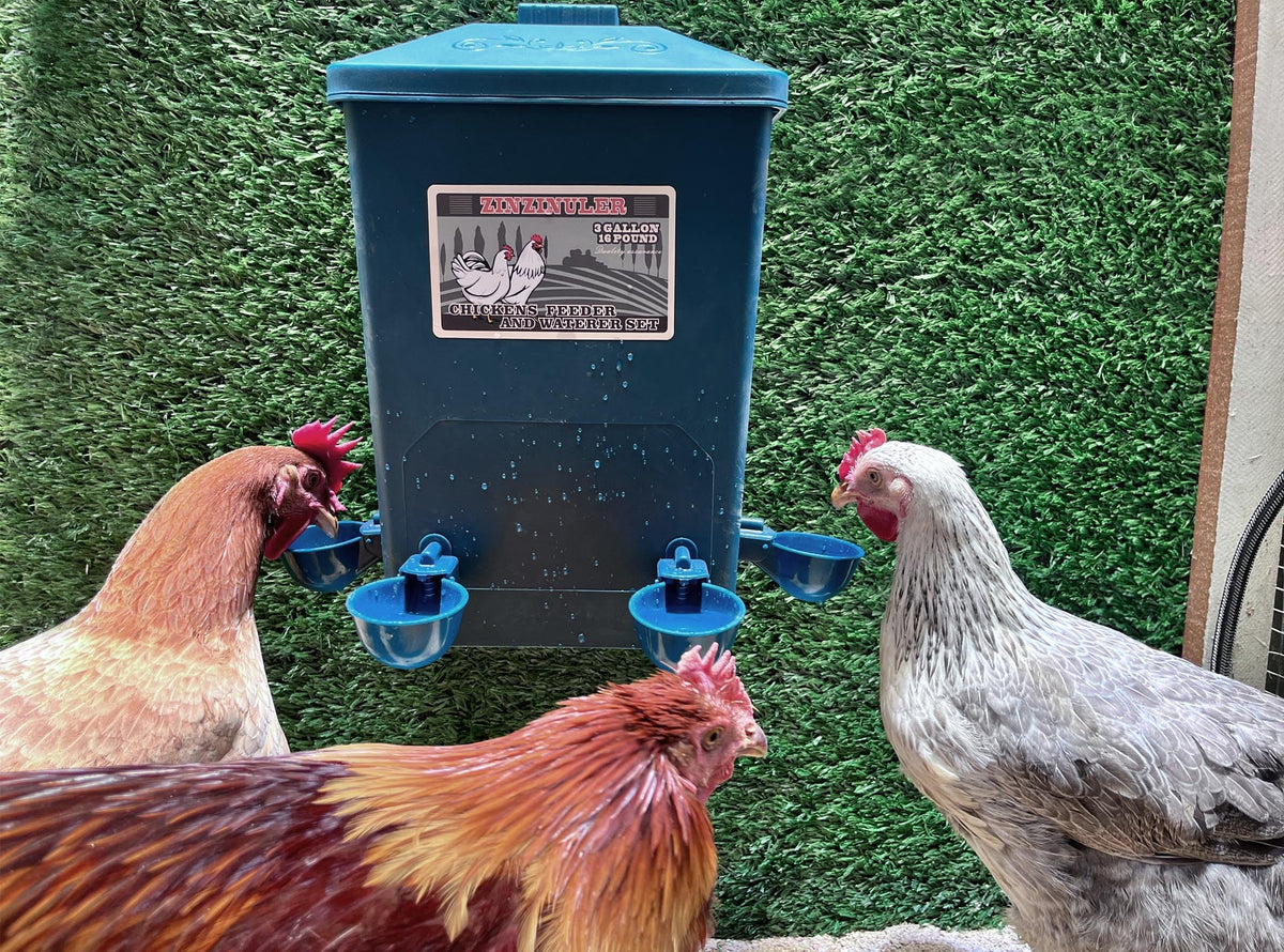 Weather-resistant poultry waterer designed for year-round use.