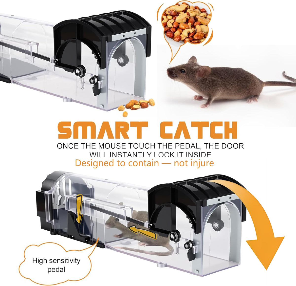 Ziprusburk kid-and-pet friendly design keeps homes safer without poisons.