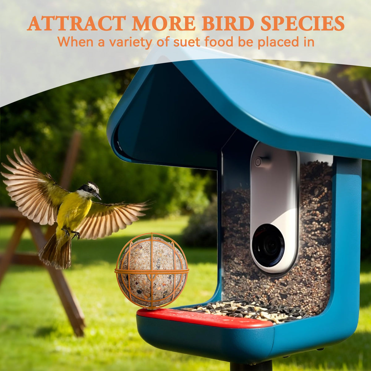 ZIRKOZIR add-on accessory for bird feeders attracts more species in orange