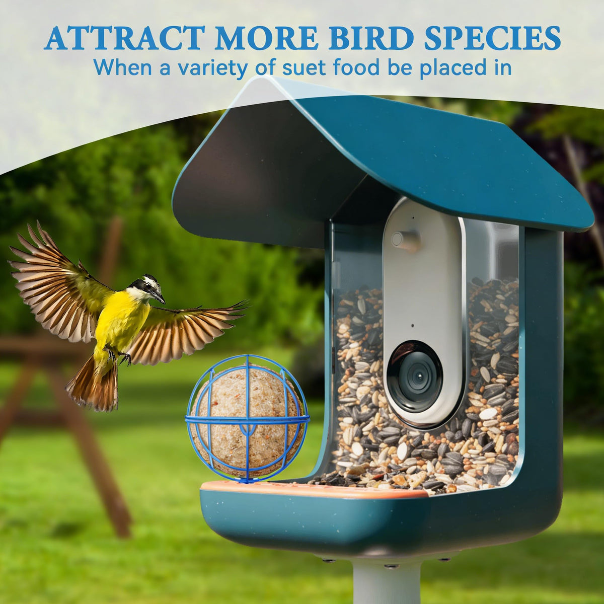 ZIRKOZIR enlarged suet-ball capacity fits most regular suet balls.