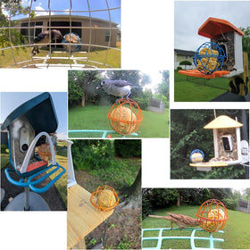 ZIRKOZIR add-on for smart feeders boosts yard bird visits.