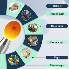 Ziyue egg-candler quail-eggs view enables quick candling during incubation.