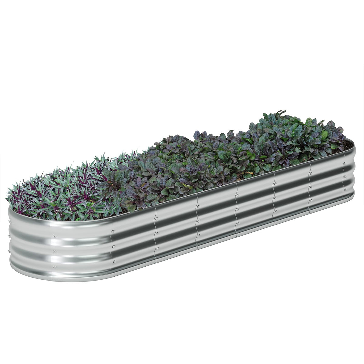 Zizin galvanized oval raised garden bed 8x2x1ft offers ample growing space for vegetables.