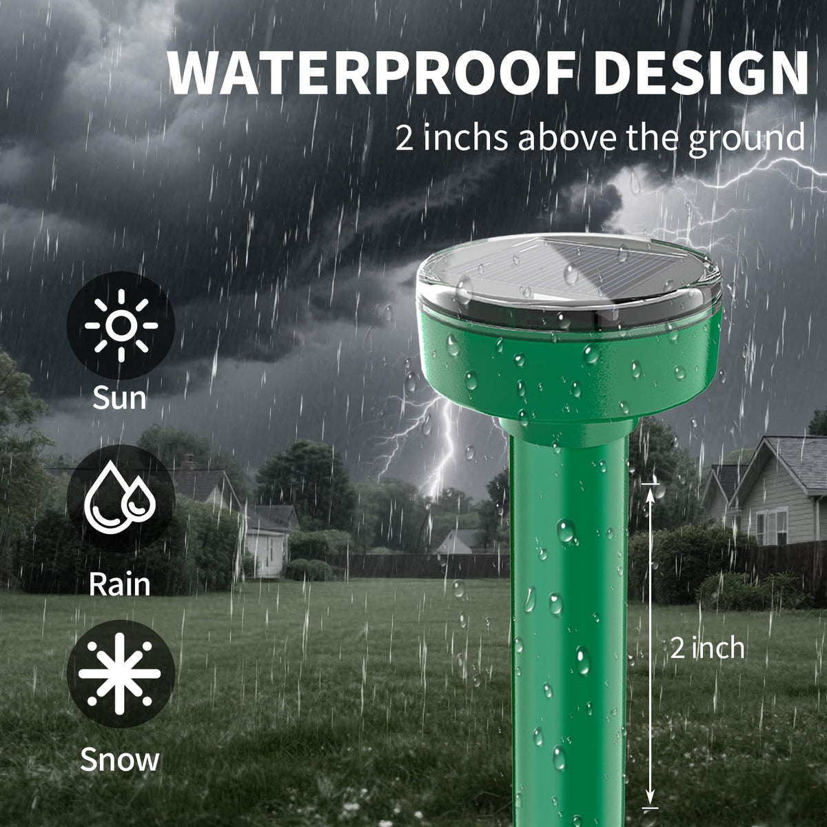 ZLieatmp deterrent stake in garden protects plants from burrowing pests.
