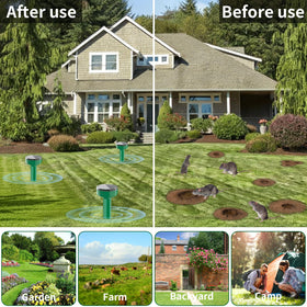 ZLieatmp yard deterrent supports a healthier lawn appearance.