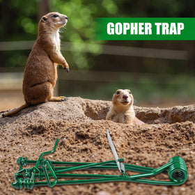 ZLieatmp gopher trap in-ground installation demonstrates durable design