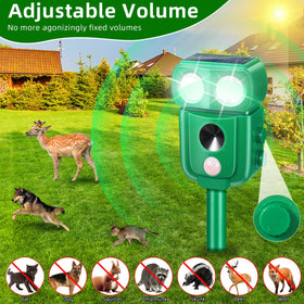 ZLieatmp 40ft motion detection covers garden perimeter.