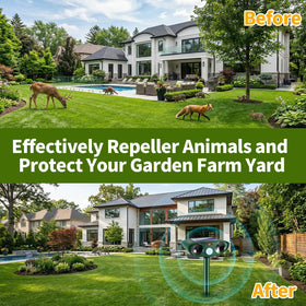 ZLieatmp Perimeter coverage with PIR sensor enhances yard security.