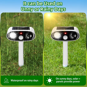 ZLieatmp red LED indicator on shows active monitoring during use.