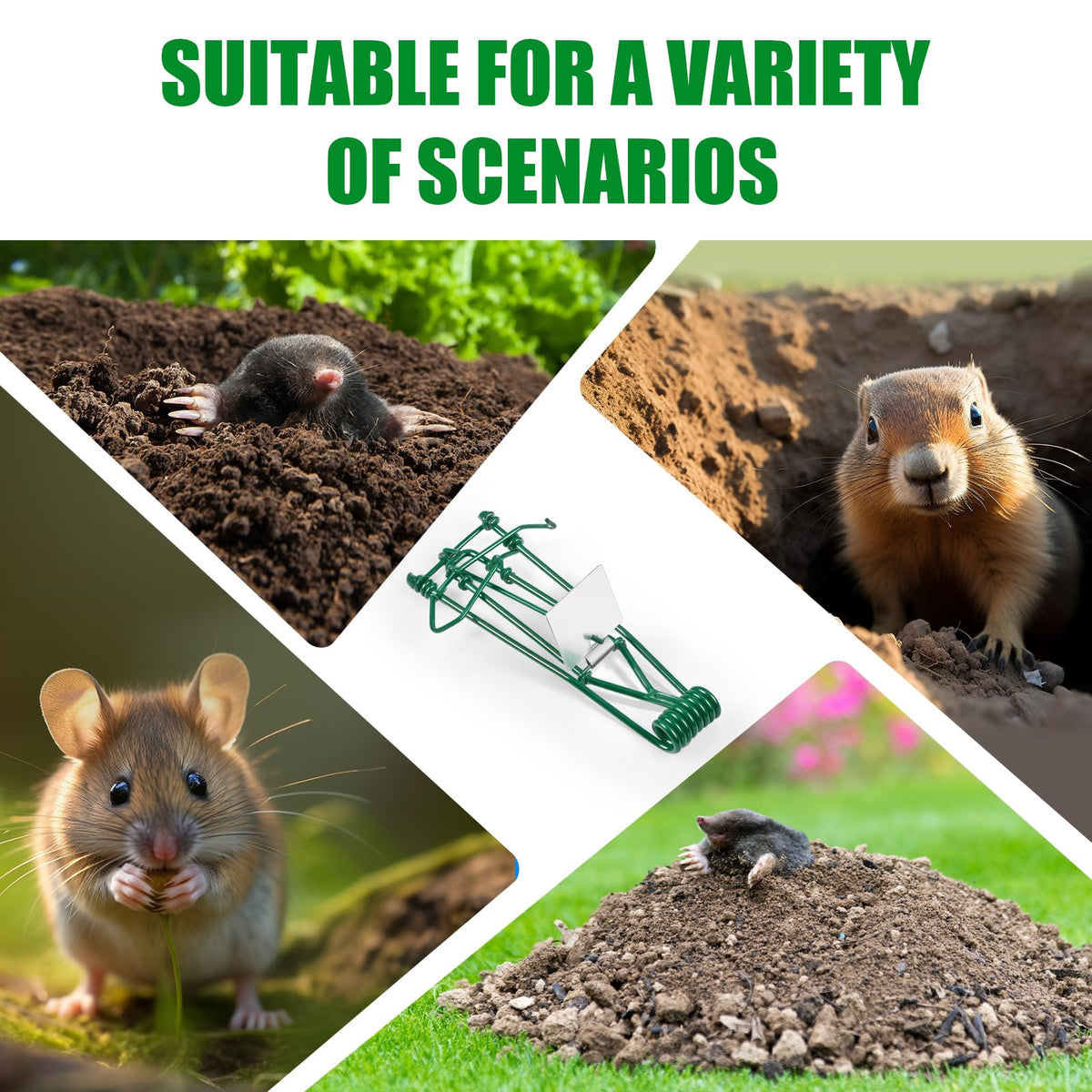 ZLieatmp six-traps-pack supports efficient garden pest control in yards