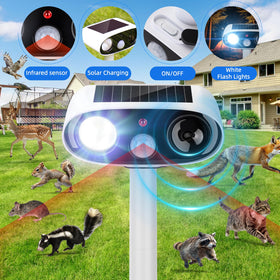 ZLieatmp solar panel top highlights easy, maintenance-free charging.