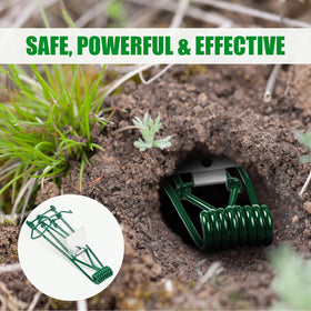 ZLieatmp traps working in loess, clay, and sand soils for pest control