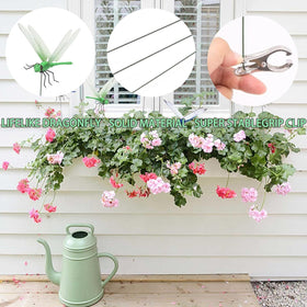 ZLMC yellow dragonfly clip catches sunlight on walls and trellises.