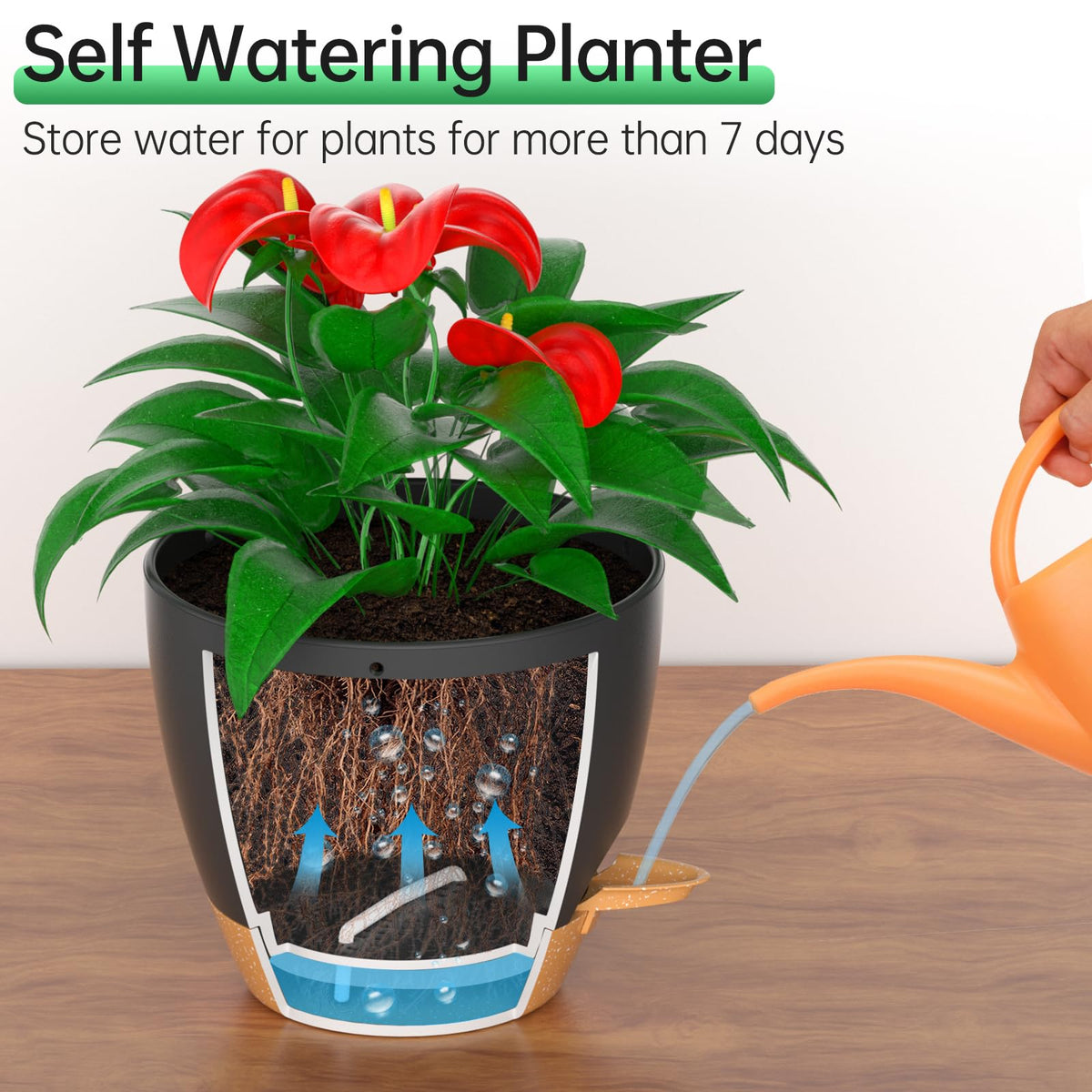 ZMTECH planter with absorbent cotton rope for controlled moisture delivery