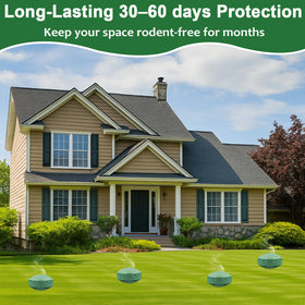 Ideal for kitchens, gardens, RVs, barns, and family spaces.