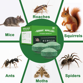 Long-lasting 30–60 day effectiveness for kitchens, garages, attics, and gardens.