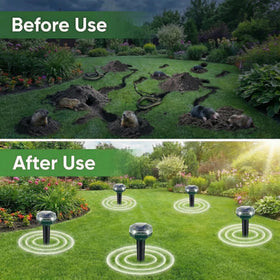 ZNZTO Yard protection in action with ultrasonic burrow deterrence.