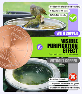 ZOBUU bird bath disk installed in bowl demonstrating universal fit