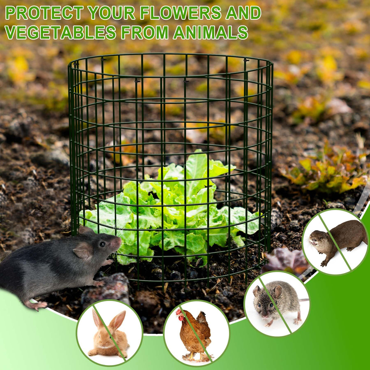 ZOKCC packaging contents show 30 cages and accessories for easy setup.
