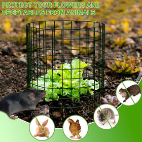 ZOKCC packaging contents show 30 cages and accessories for easy setup.