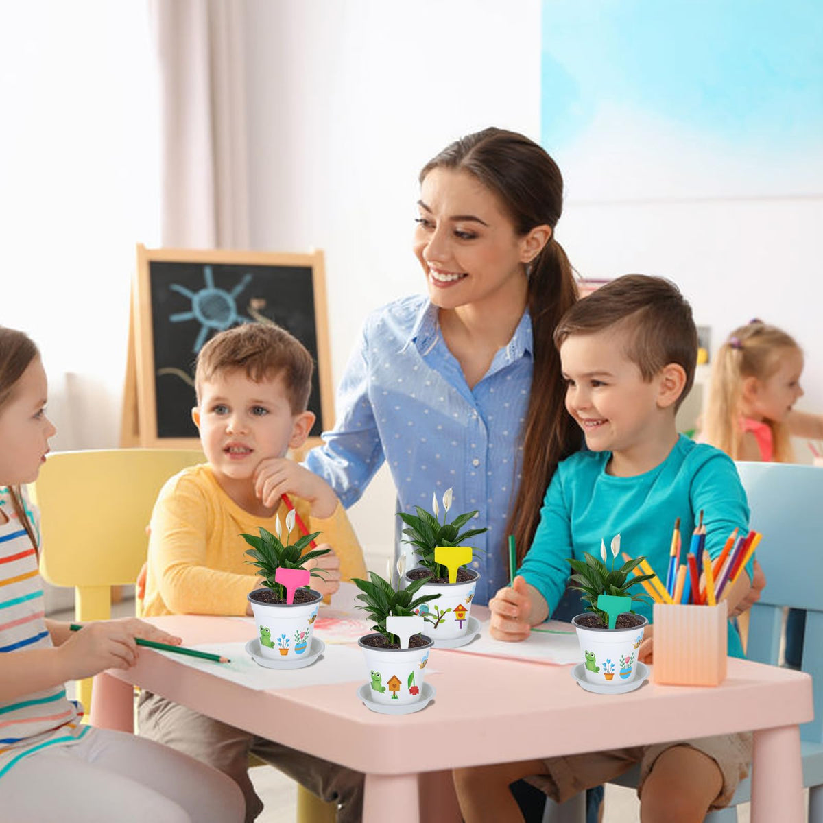 Zoketriton classroom garden project kit for hands-on spring learning