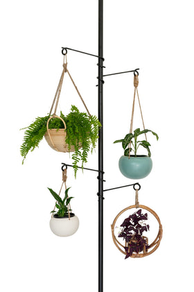 Zononoca six movable hooks allow flexible plant arrangement for optimal light.