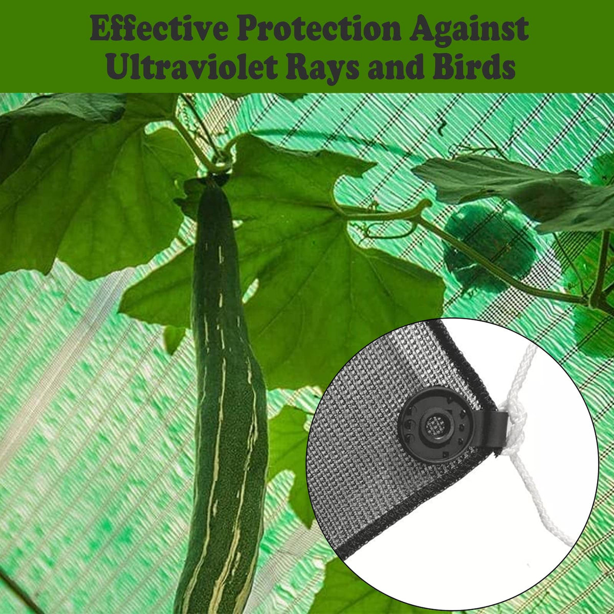 Zoomarlous 50-piece pack provides ample clips for gardens and plants.