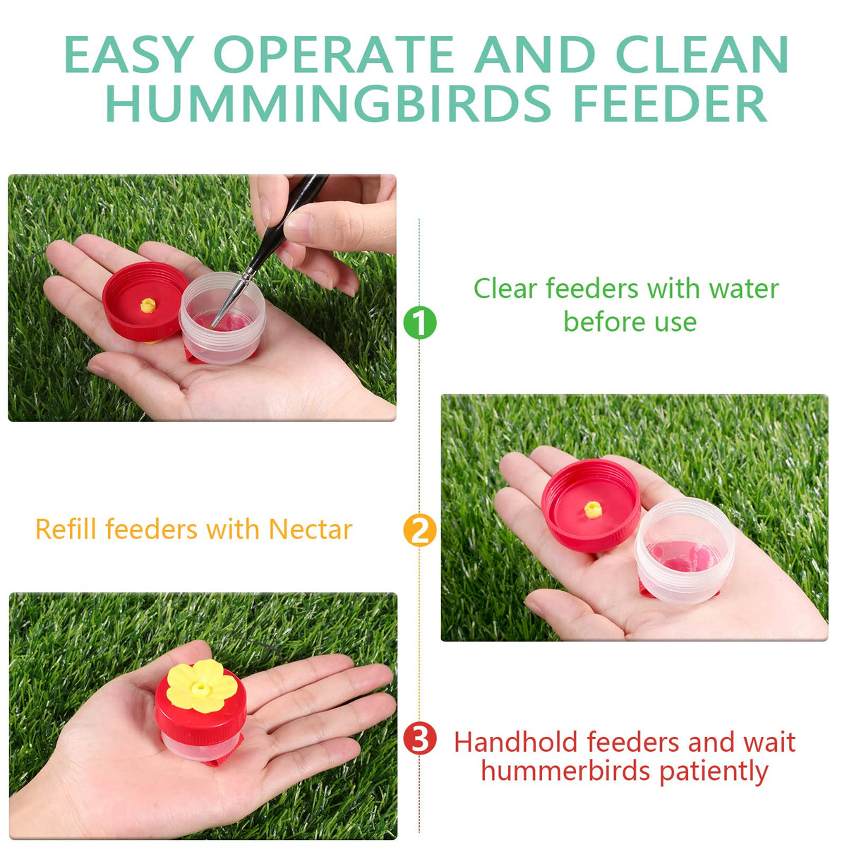 Zopeal bright colors attract hummingbirds in outdoor spaces
