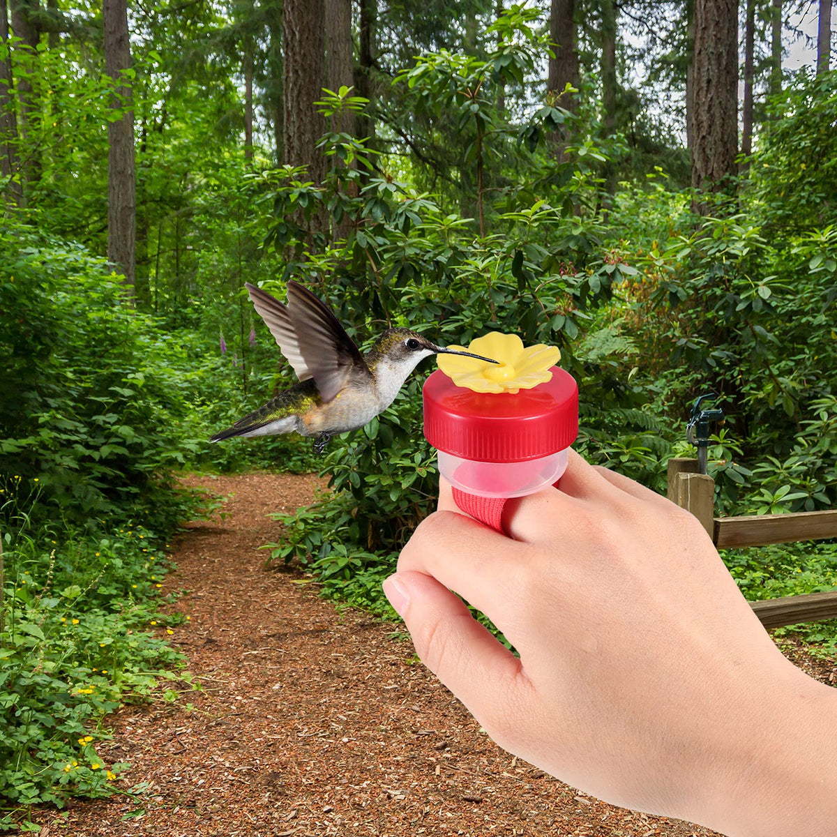 Zopeal easy-to-wear hummingbird feeder supports hands-free viewing