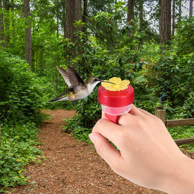 Zopeal easy-to-wear hummingbird feeder supports hands-free viewing