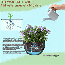 Zople 8-inch opening provides room for larger plants and growth