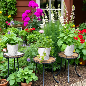 Zople herbs succulents in white pots highlight lightweight plastic.