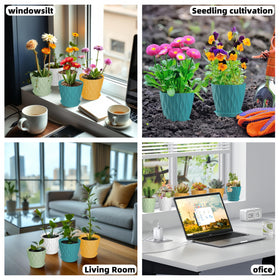 Zople 4-inch pots ideal for herbs, succulents and small blooms