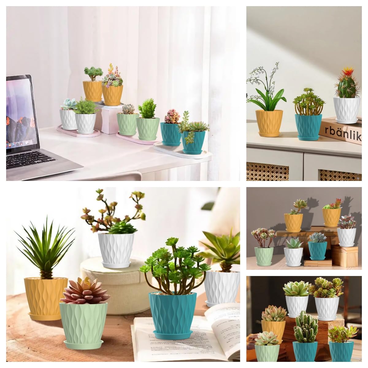 Zople multicolor planter set brightens spaces and fits small plants
