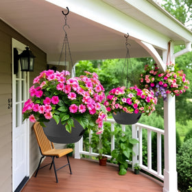 Zople ready-to-use kit for indoor gardens and outdoor patios.