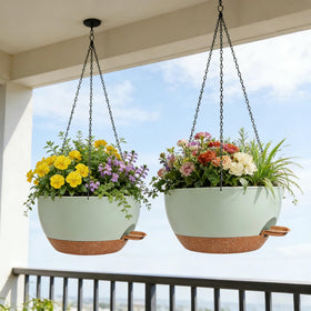 Zople removable reservoir enables easy cleaning and maintenance.