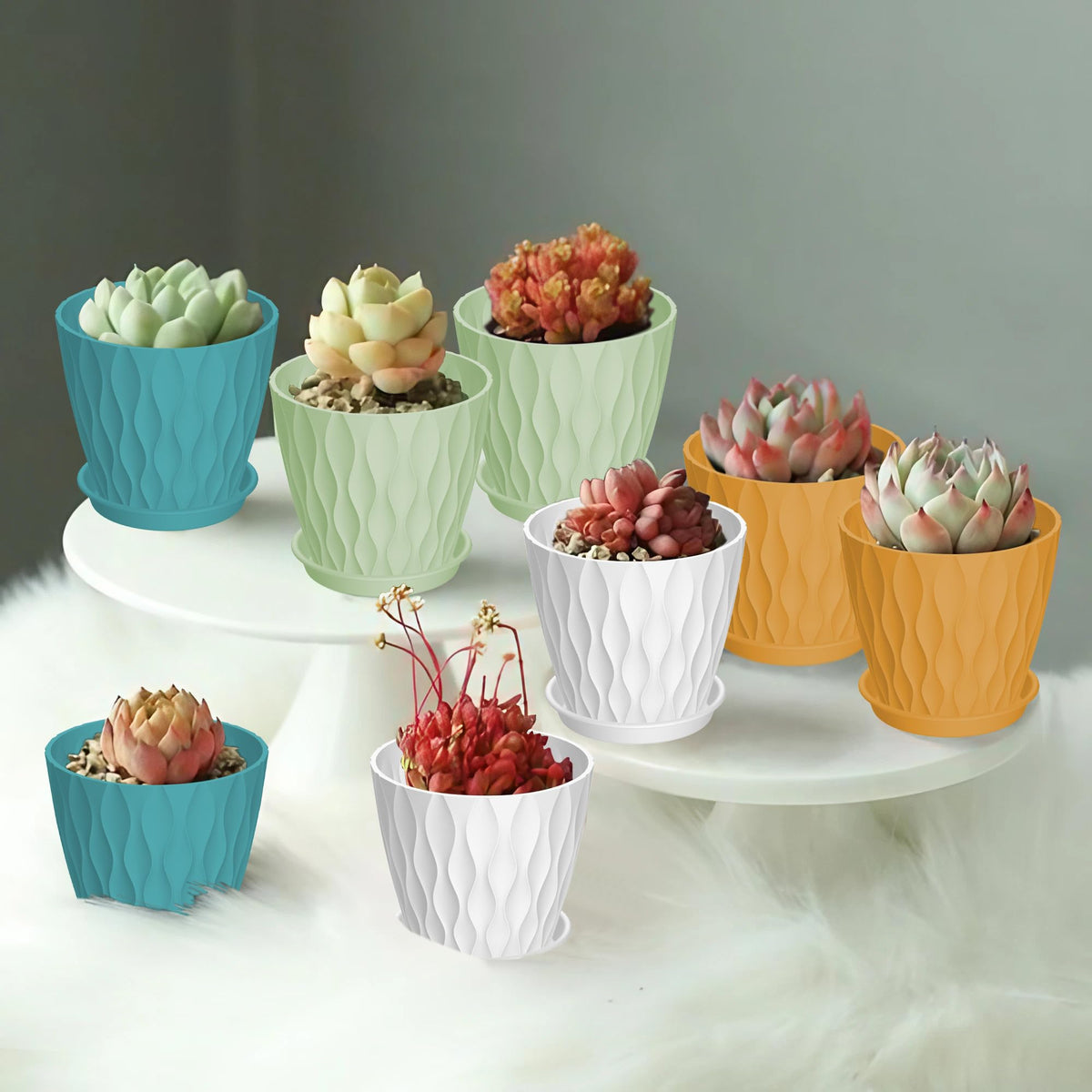 Zople included trays catch excess water for mess-free surfaces