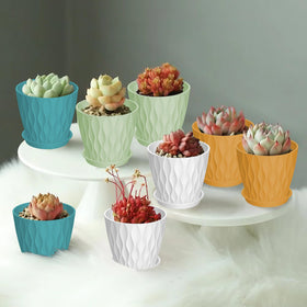 Zople included trays catch excess water for mess-free surfaces