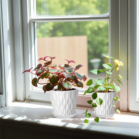 Zople 5-inch pots on a windowsill ideal for herbs and small plants.