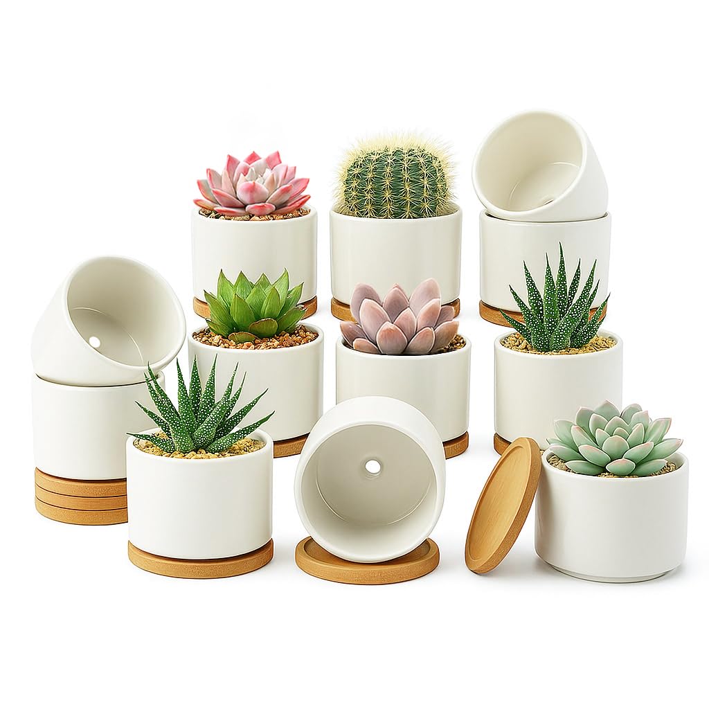 ZOUTOG 12-pack ceramic succulent pots ready for compact indoor plants.