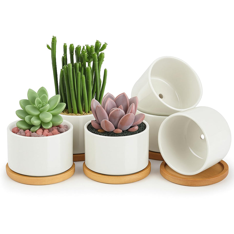 ZOUTOG ceramic succulent pots front view ideal for desktop display