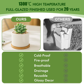 ZOUTOG pots with drainage holes help prevent overwatering and root moisture buildup