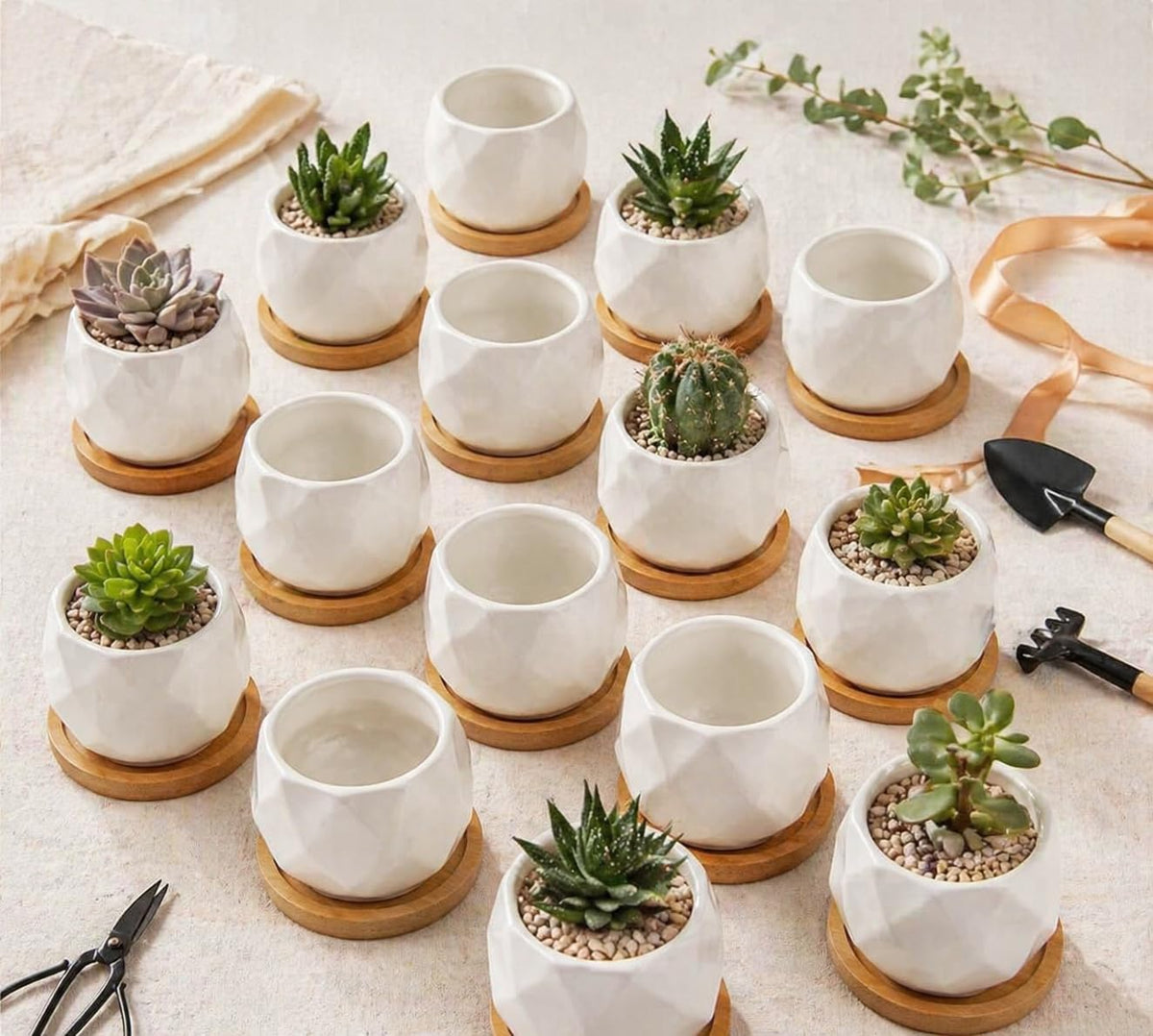 ZOUTOG succulent pot with bamboo tray helps manage moisture and protect surfaces.