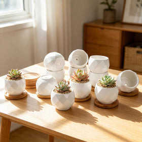 ZOUTOG succulent pot with diamond pattern ceramic for elegant shelf display.