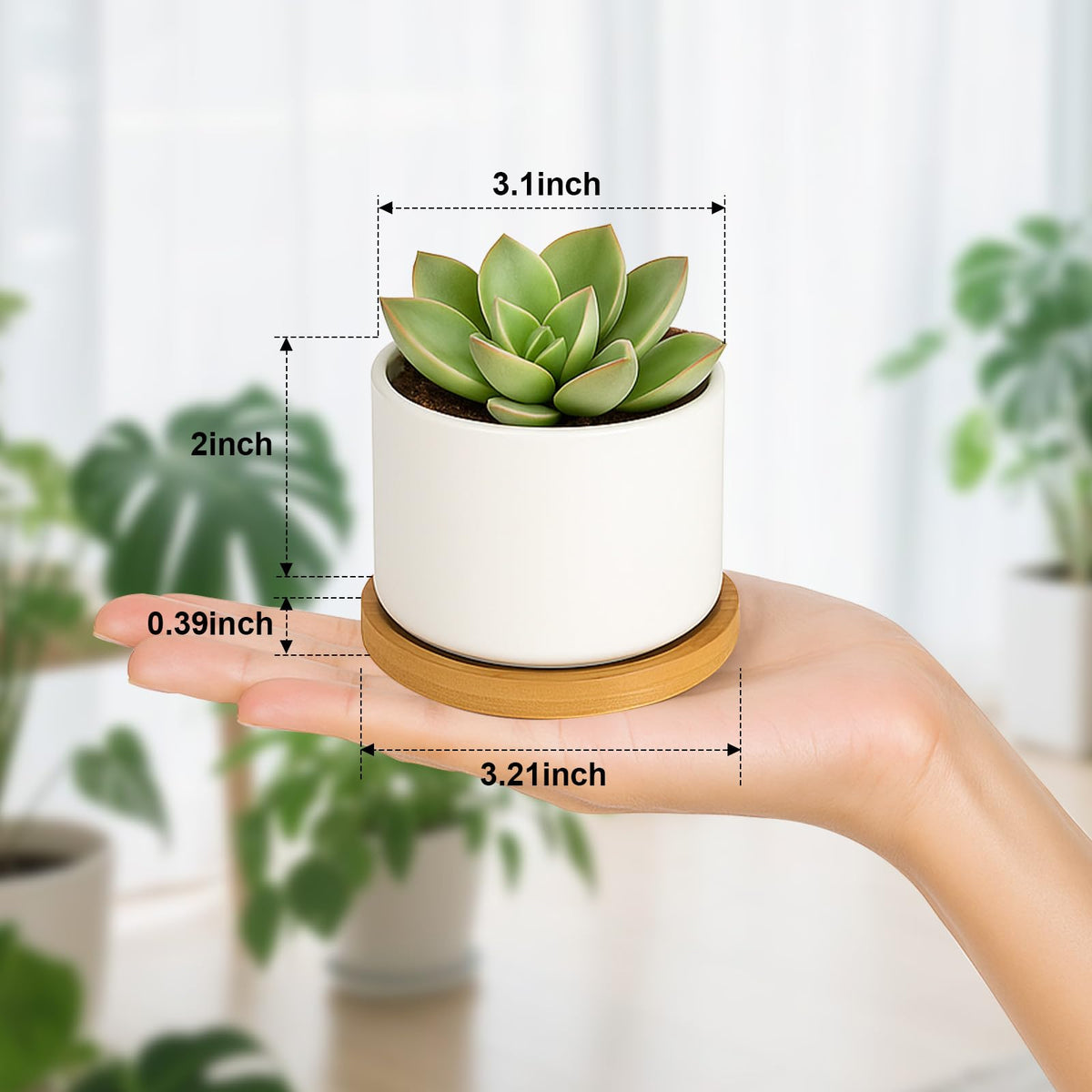 ZOUTOG succulent pots with bamboo tray for organized drainage